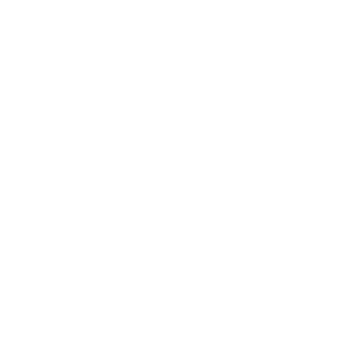 partner-white-cisco