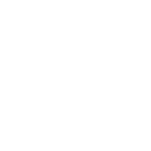 partner-white-lenovo